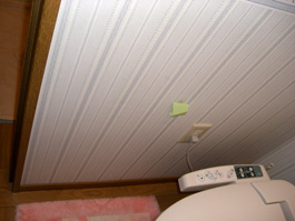 トイレ壁取り付け前